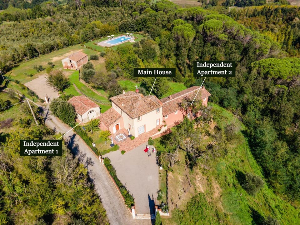 Neighbourhood, Natural landscape, Bird's eye view, Garden