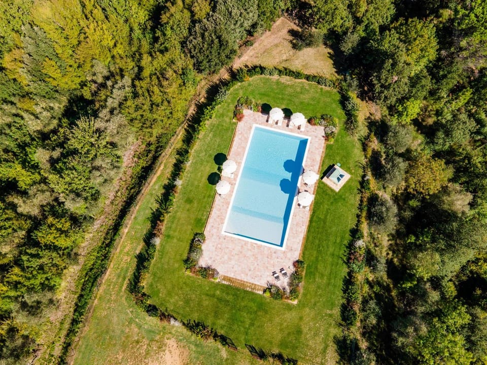 Spring, Day, Natural landscape, Bird's eye view, Garden, Pool view, Swimming pool