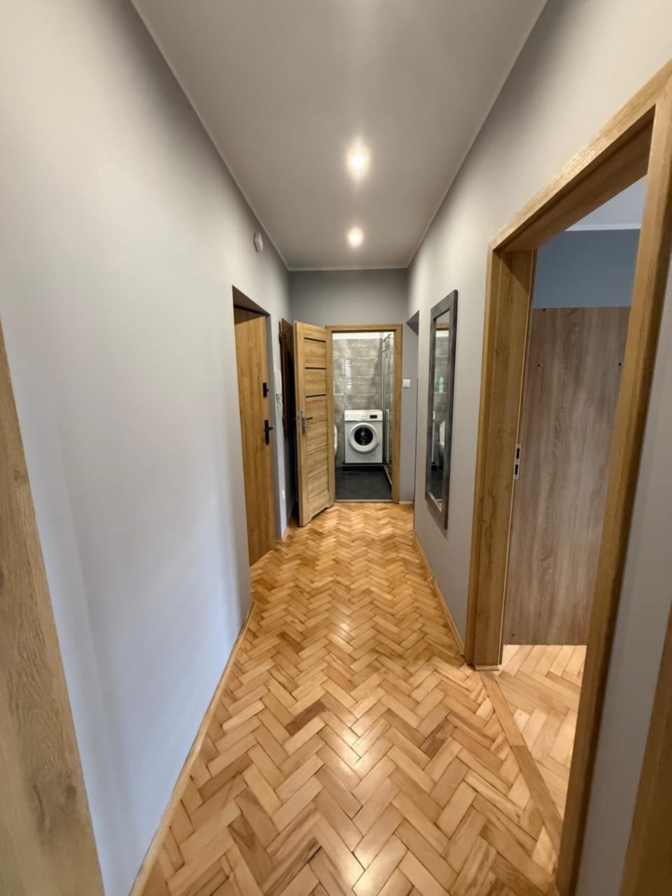 Apartament w Centrum Żor Apartment in Czechia