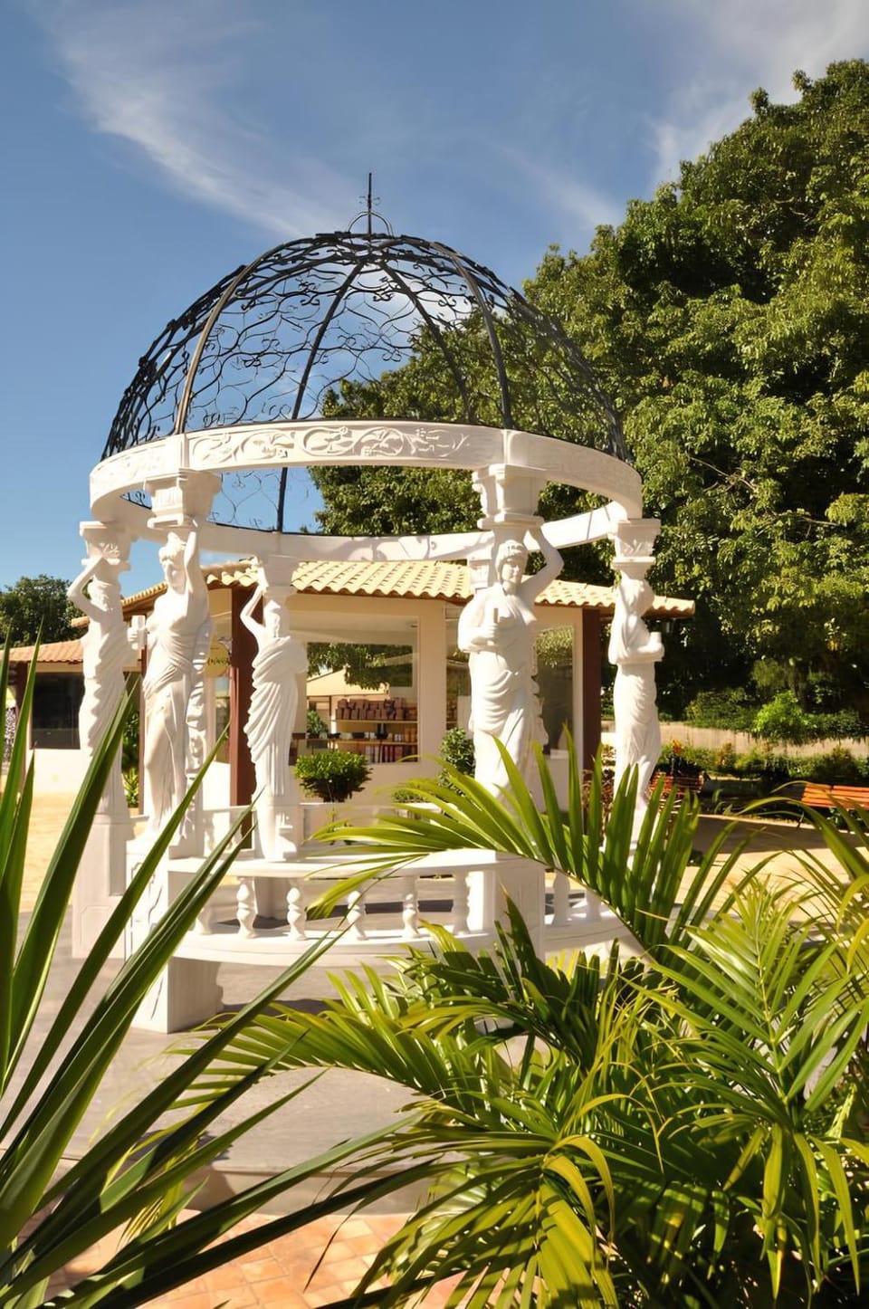 Spring, Garden, Garden view