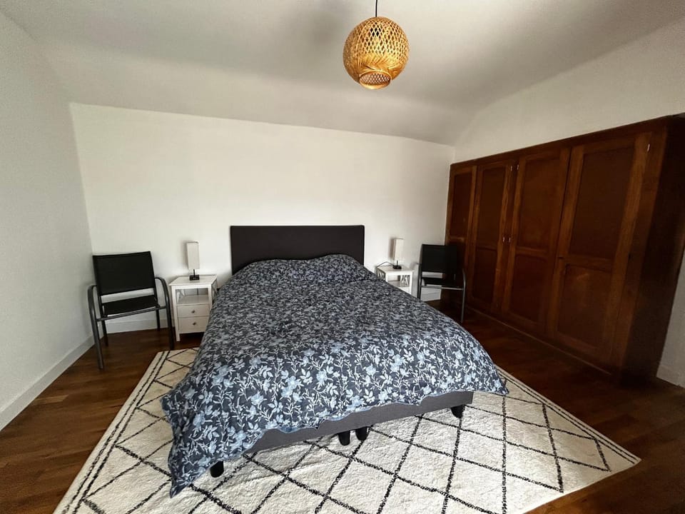 Maison Rénovée avec Jardin et WIFI à La Roche-Posay - FR-1-541-173 Villa in Nouvelle-Aquitaine