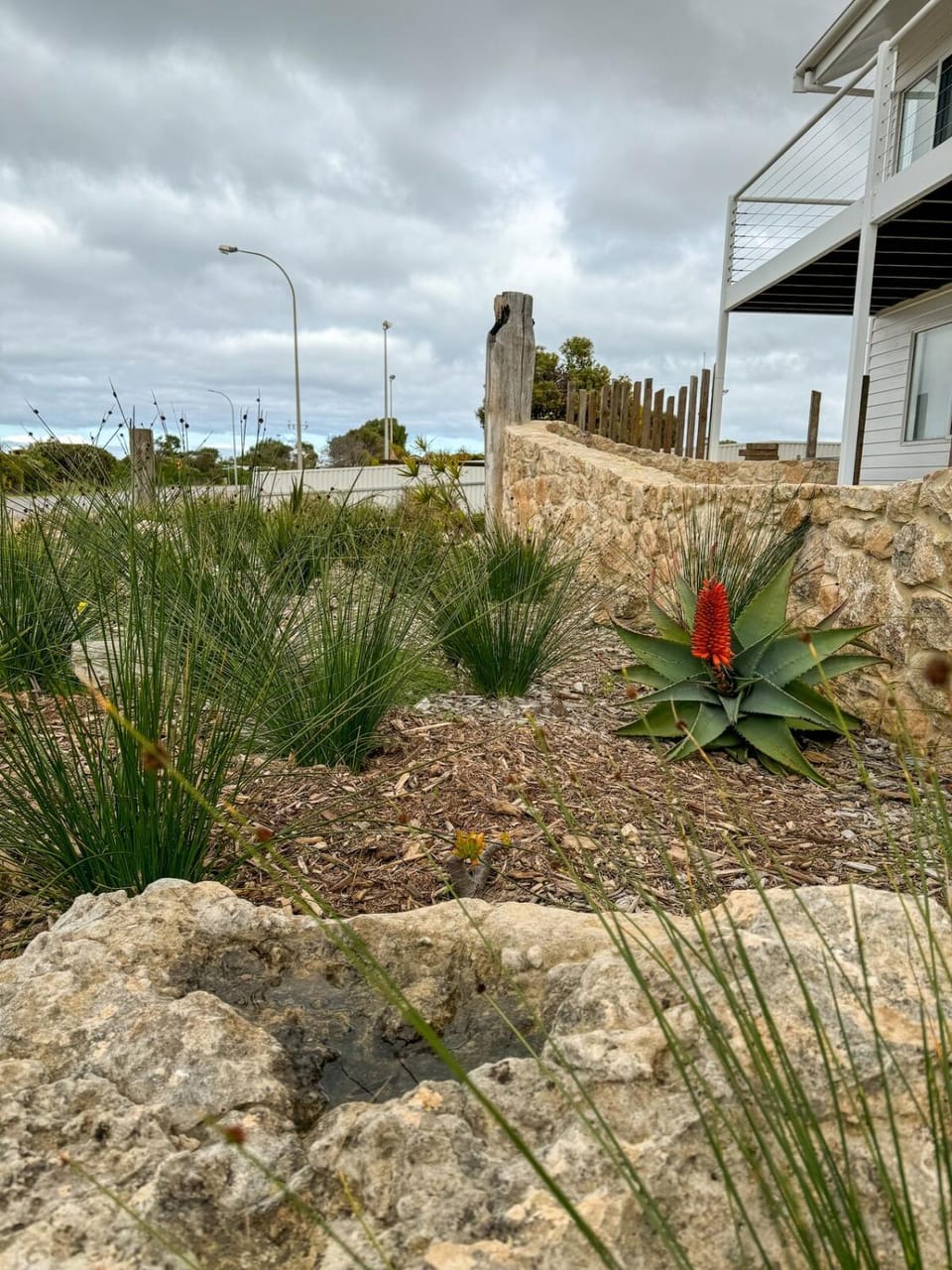 Garden view