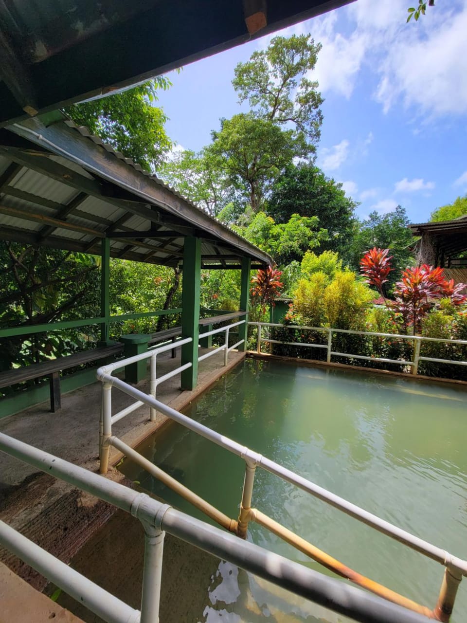 Natural landscape, Garden, Hot Spring Bath, Garden view