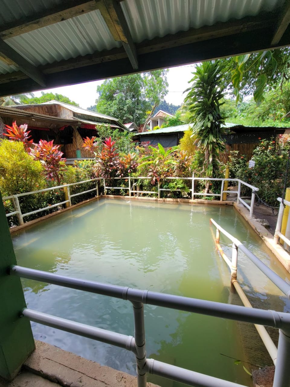 Hot Spring Bath, Swimming pool