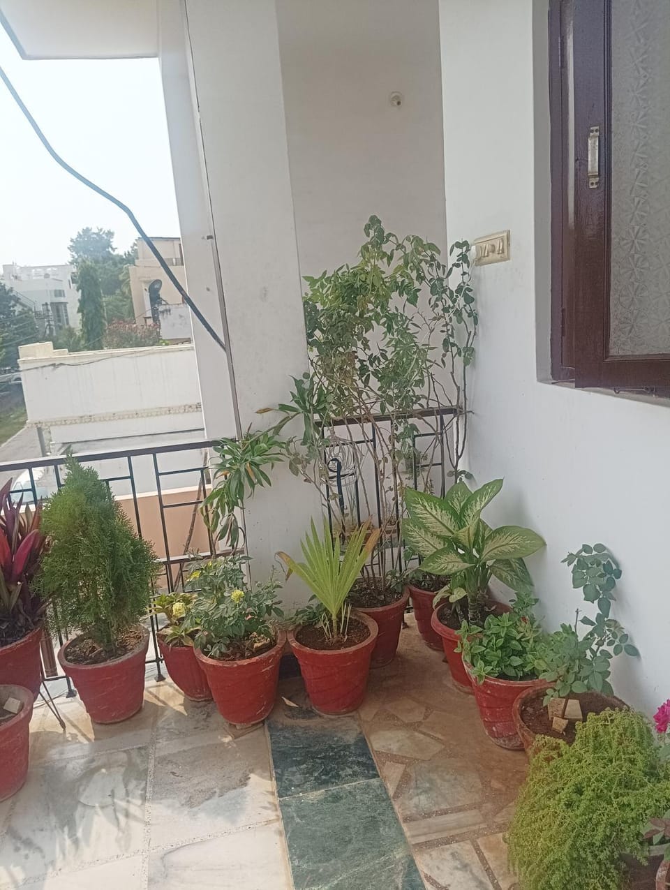 Balcony/Terrace