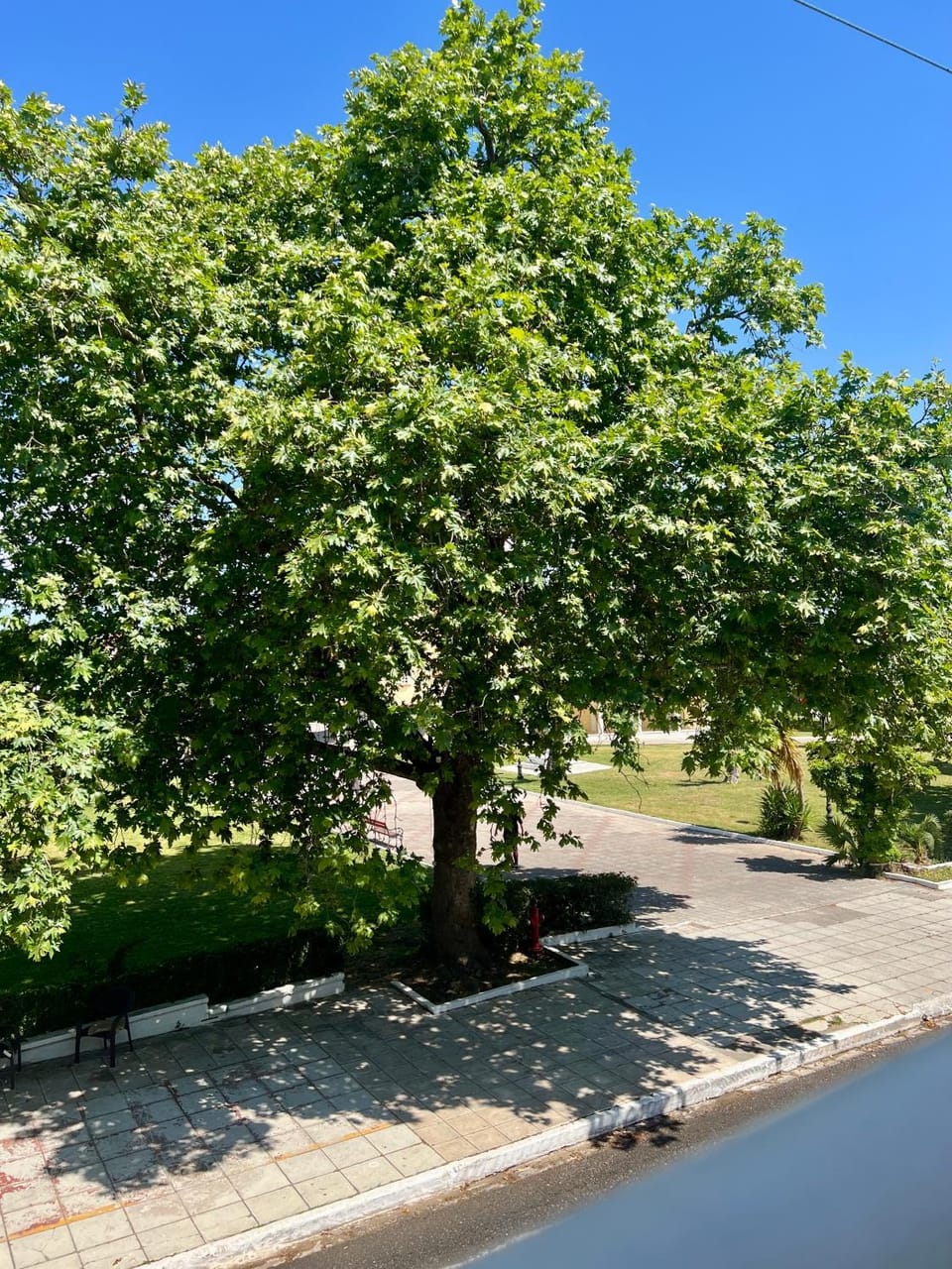 Day, Neighbourhood