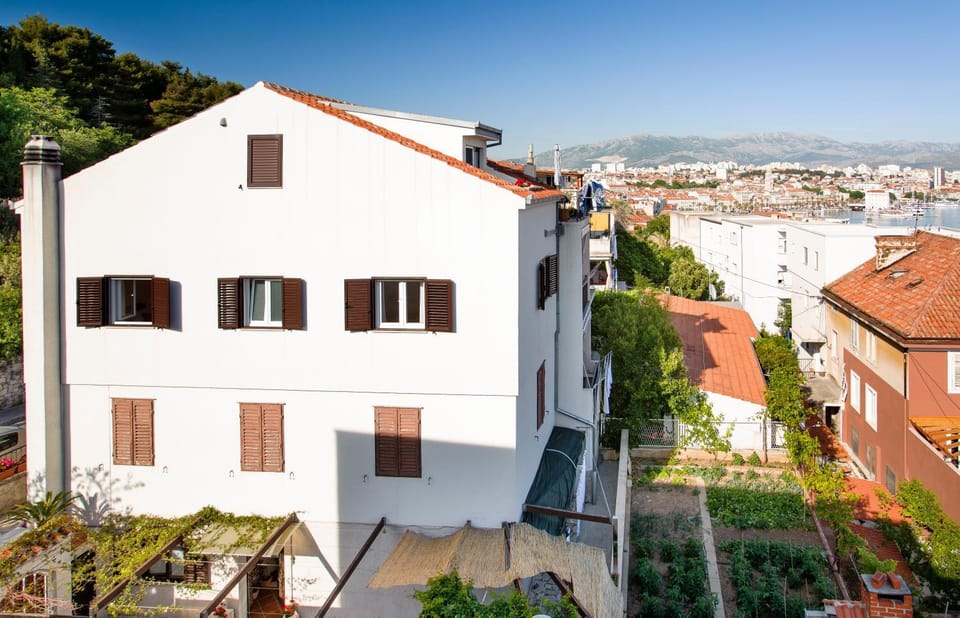 Bird's eye view, City view, Garden view