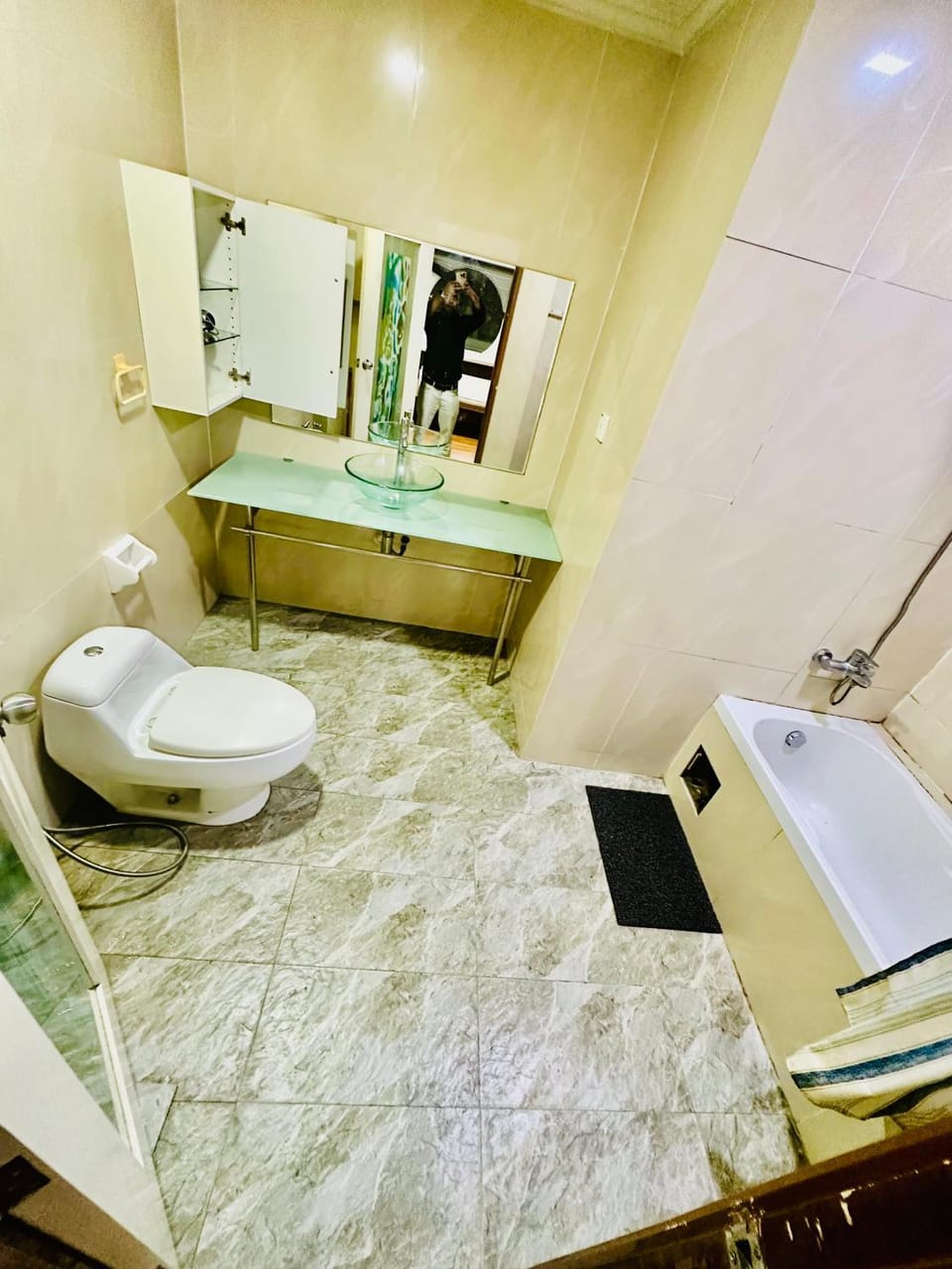 Shower, Toilet, Bathroom, Bath