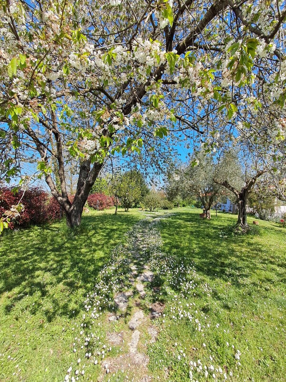 Garden, Garden view