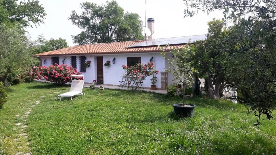 Property building, Garden view