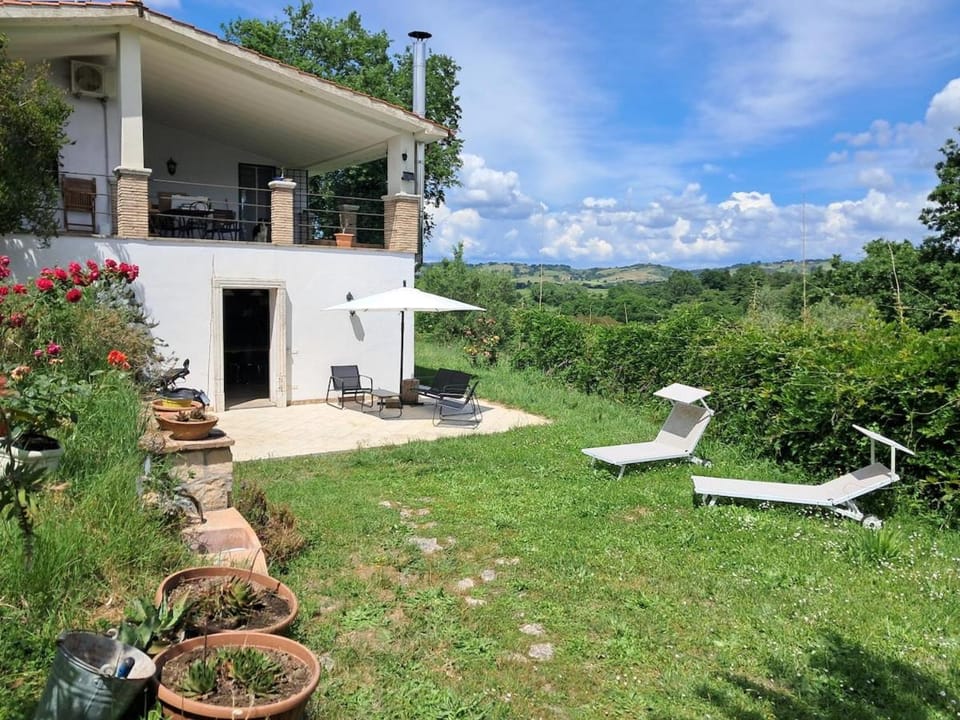 Property building, Garden, Garden view, sunbed