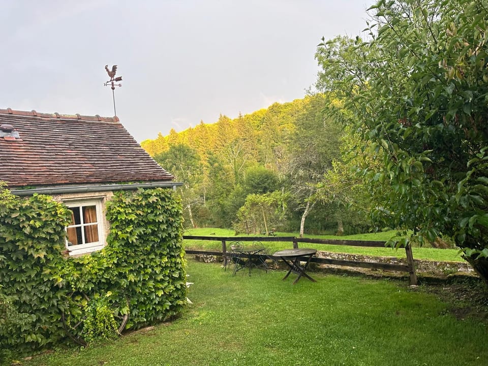 Garden view