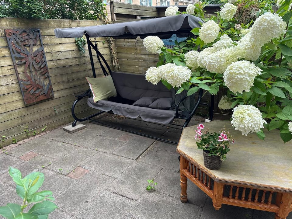 Garden view