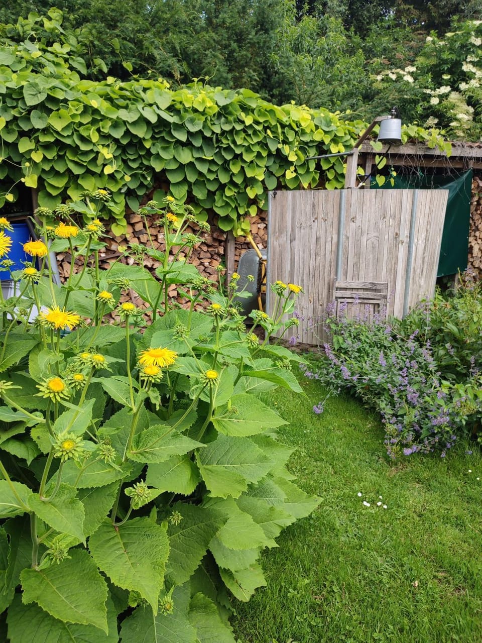 Garden, Garden view