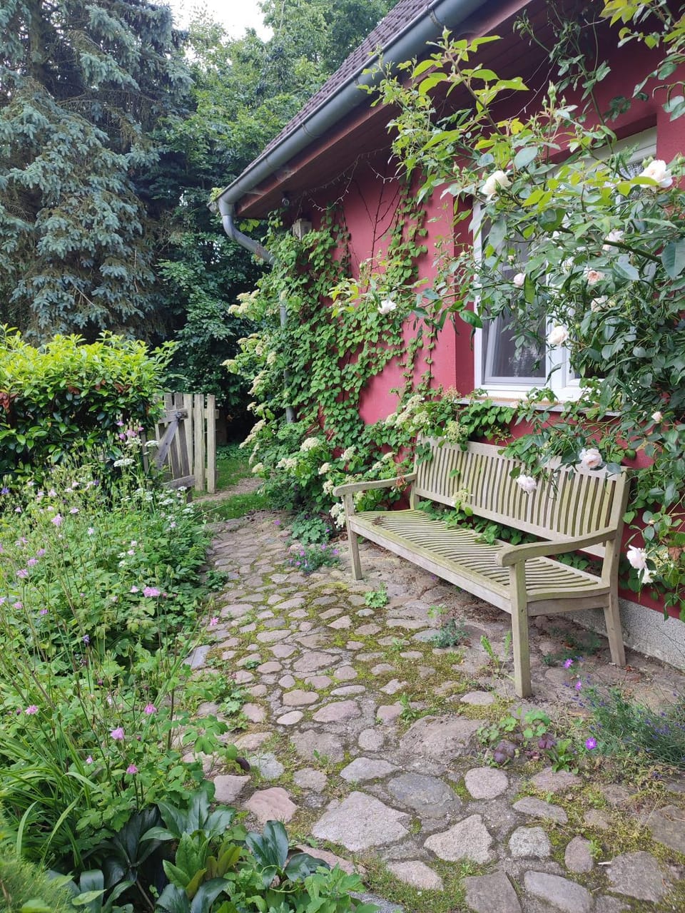 Garden view
