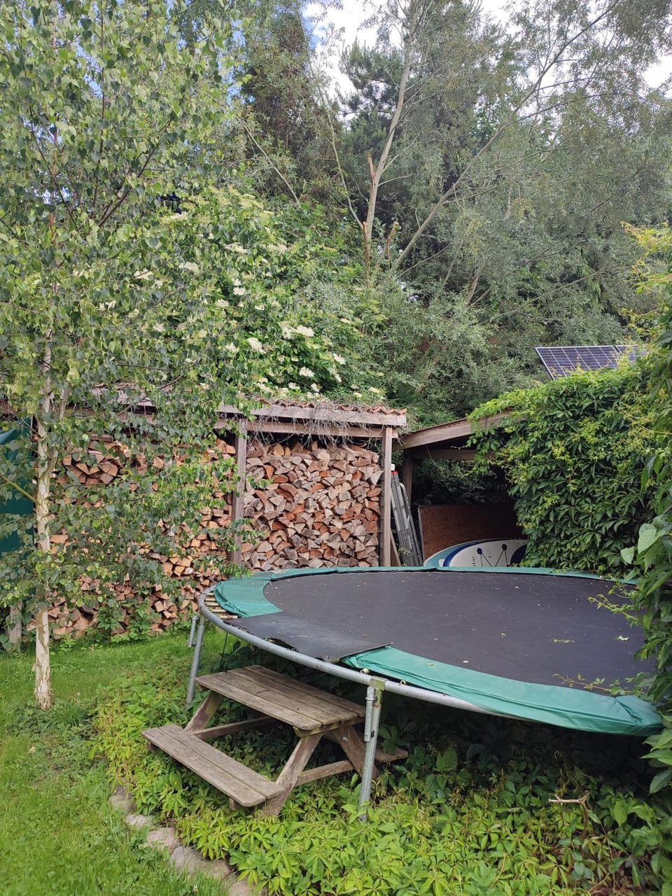 Garden view