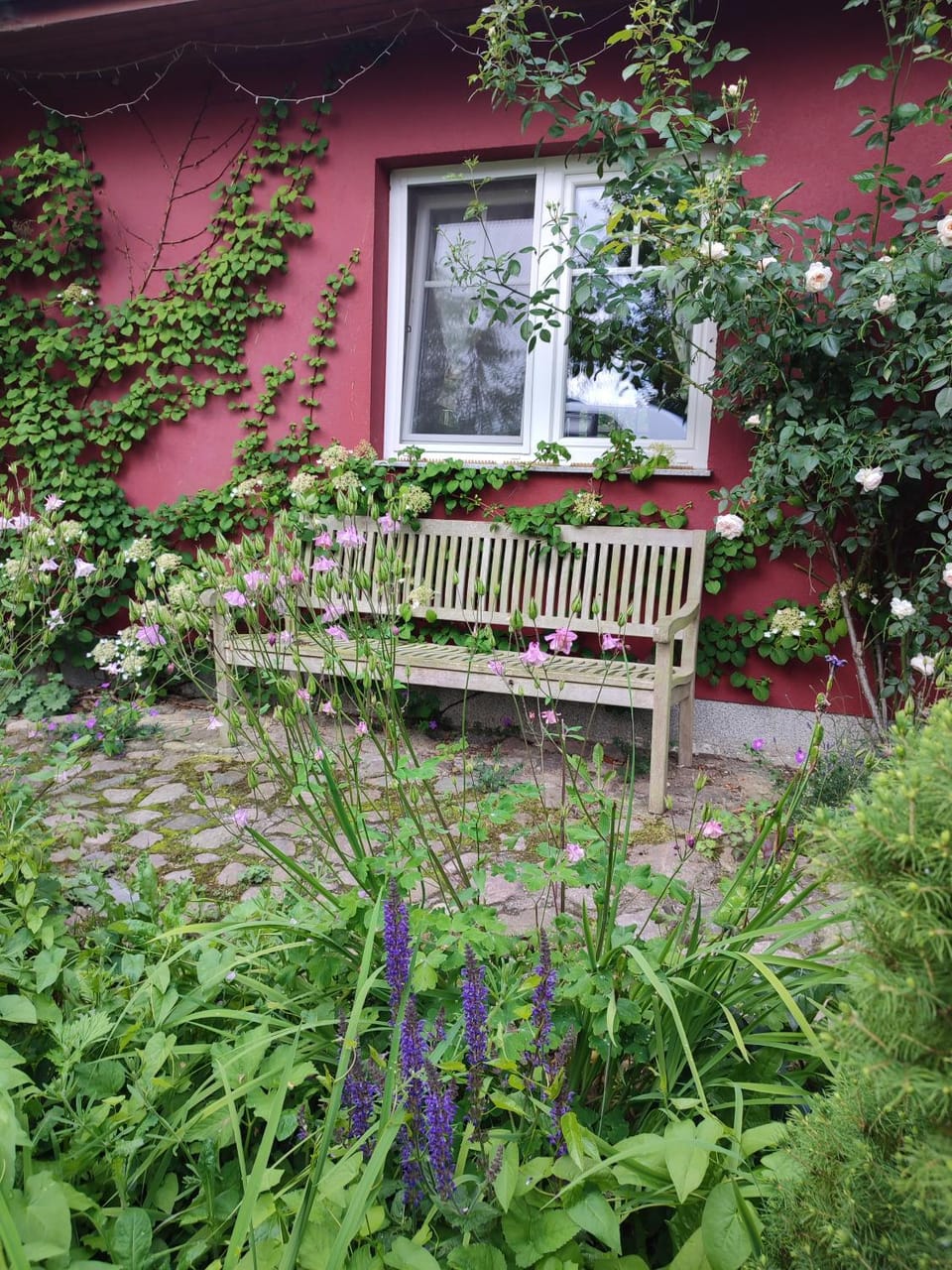 Garden view