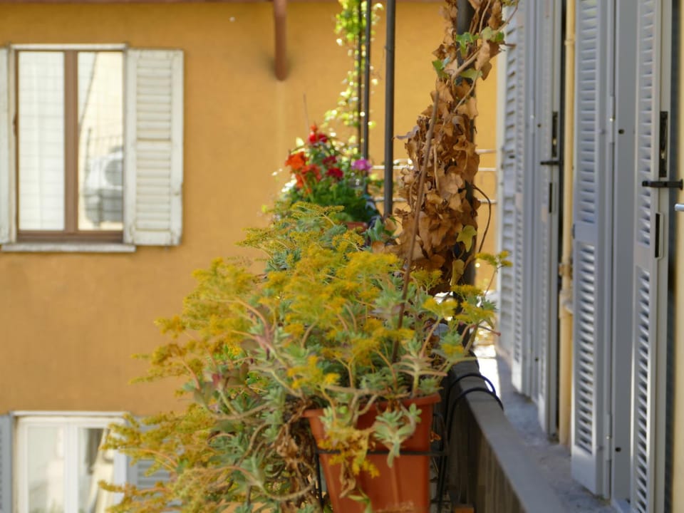 Balcony/Terrace, Balcony/Terrace