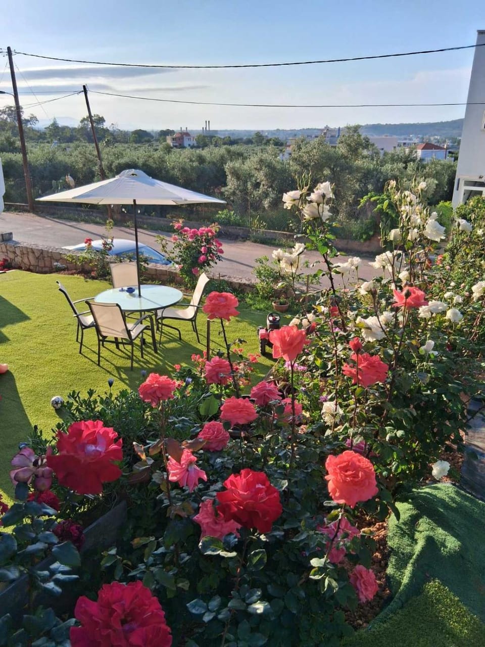 Spring, Natural landscape, Garden, Garden view