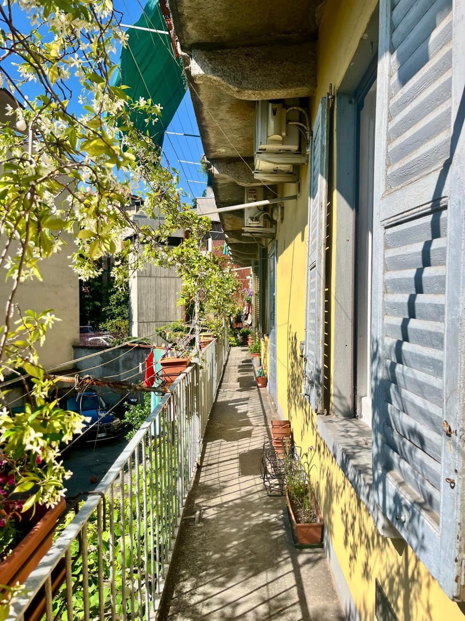 Garden, Garden view