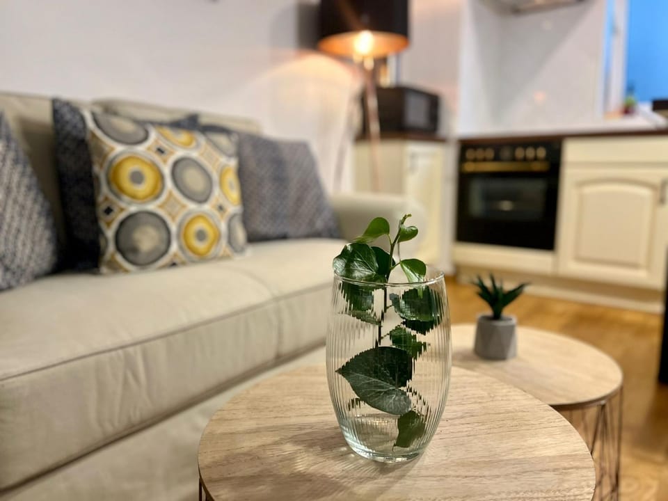 The Central Nook Apartment in Cluj-Napoca