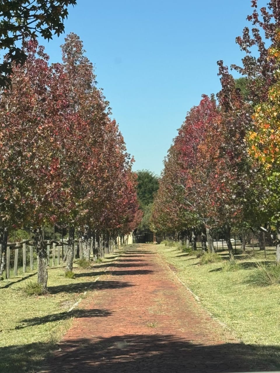 Natural landscape