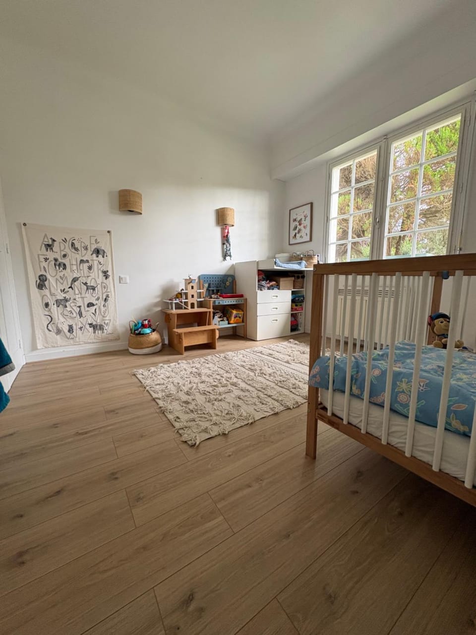 Photo of the whole room