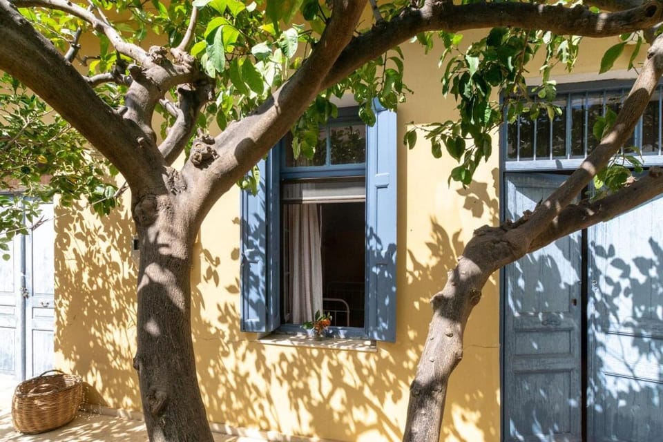 Oasis Μansion, 2min from Sitia centre & beach House in Lasithi