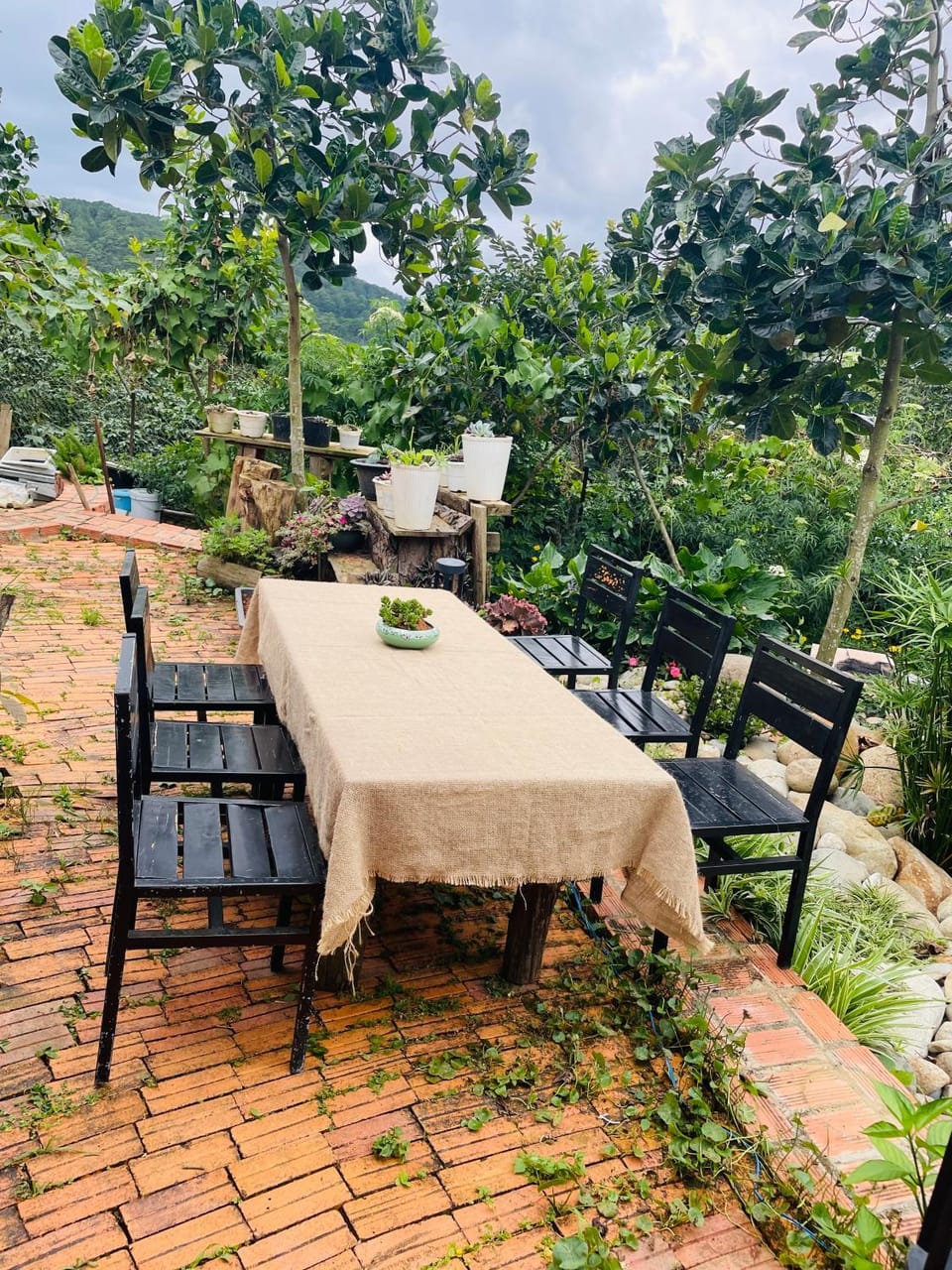 Homestay Đồi Sương Trắng Nature lodge in Dalat