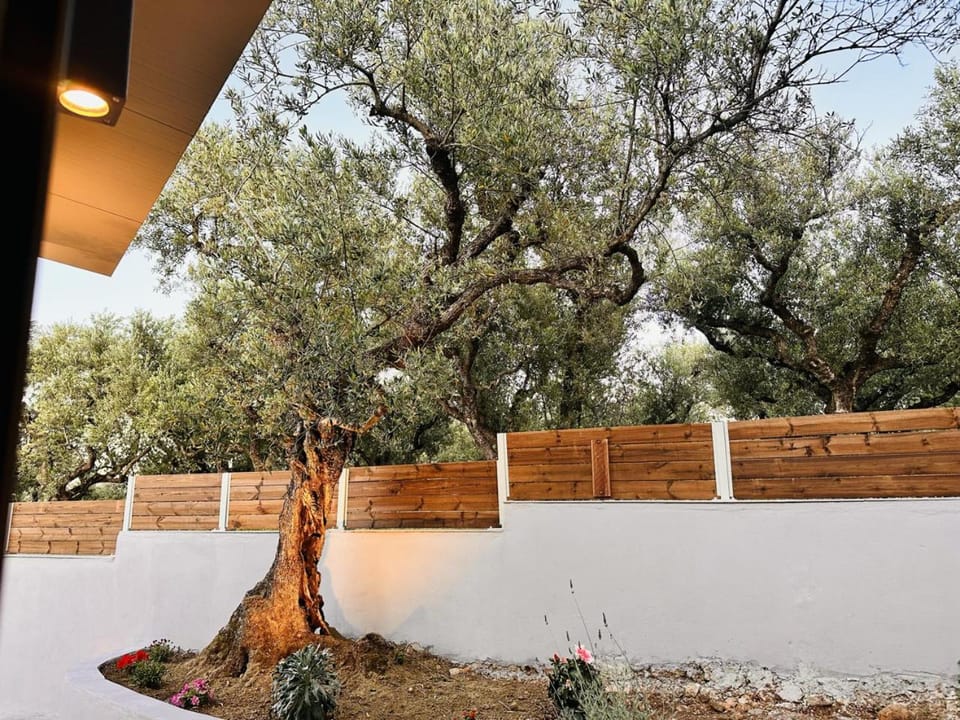 Spring, Day, Garden, Garden view