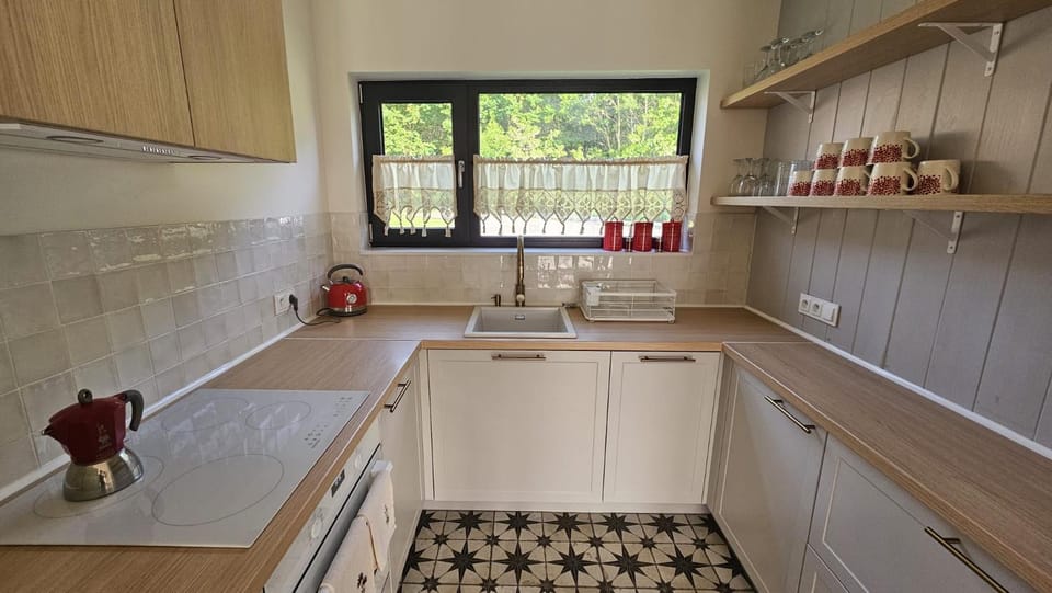 Kitchen or kitchenette, kitchen
