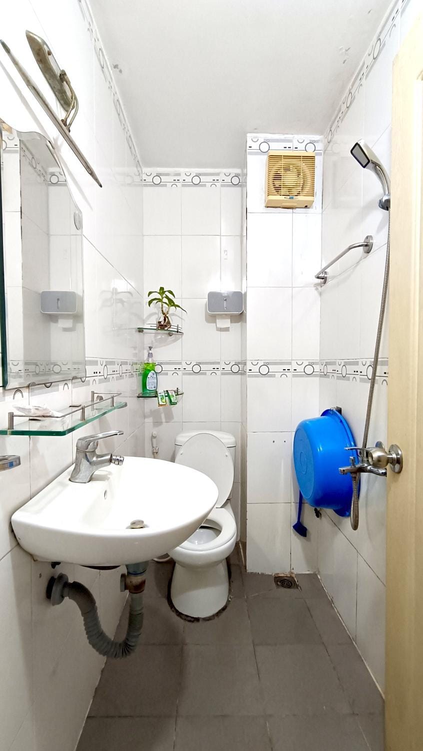 Shower, Toilet, Bathroom, bidet