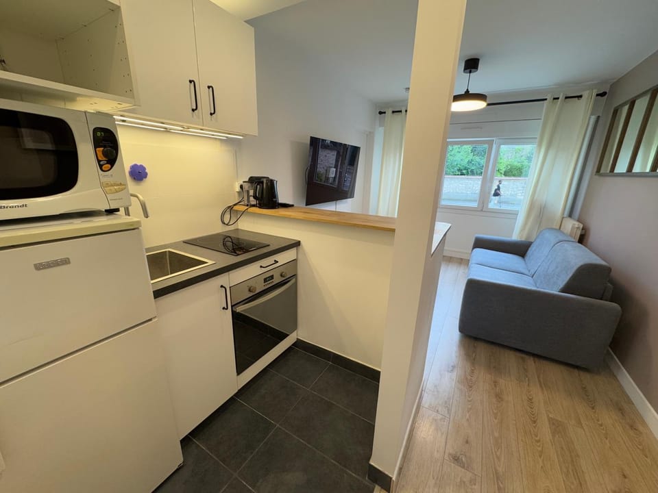 Communal lounge/ TV room, TV and multimedia, Kitchen or kitchenette, Living room, Dining area, oven, stove
