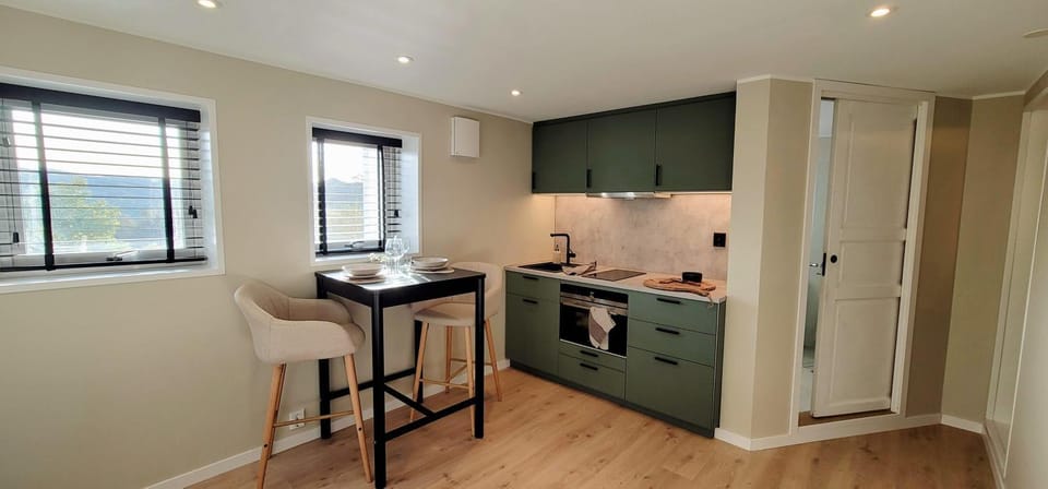 Kitchen or kitchenette, Dining area, oven, stove