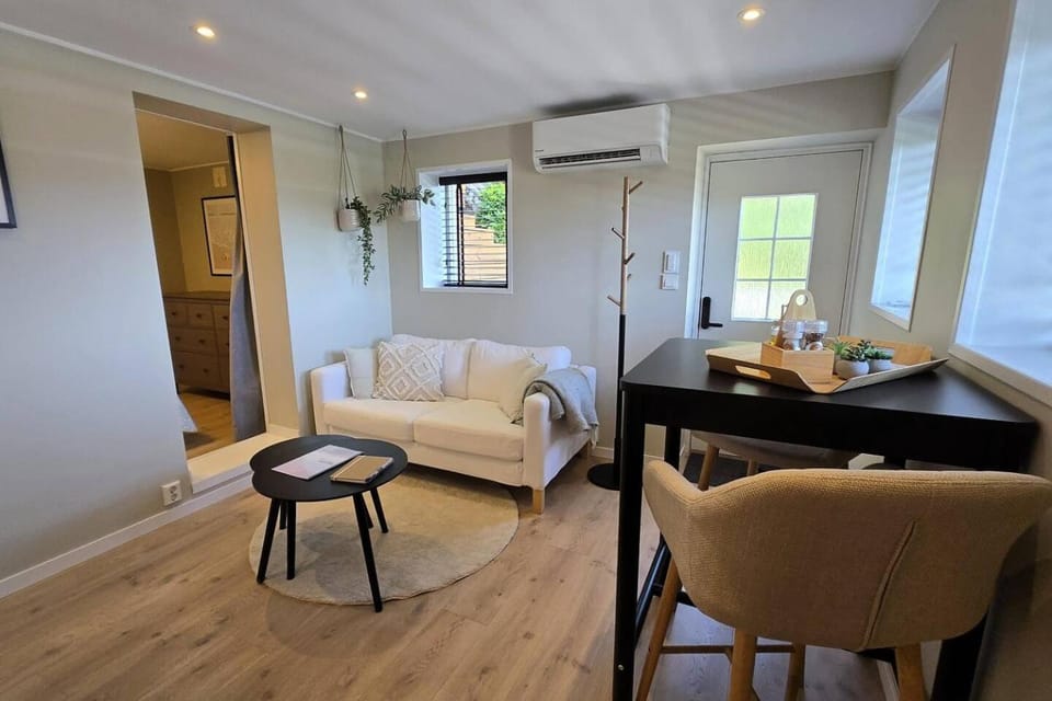 Living room, Seating area, furniture, air conditioner