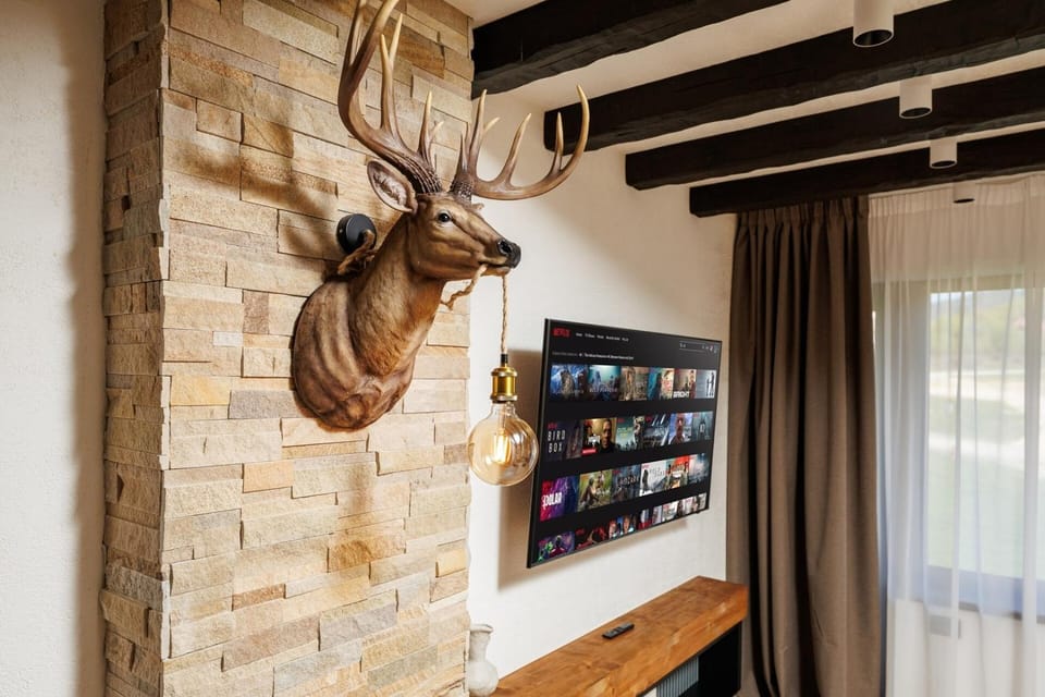 TV and multimedia, Living room, Decorative detail, internet, air conditioner