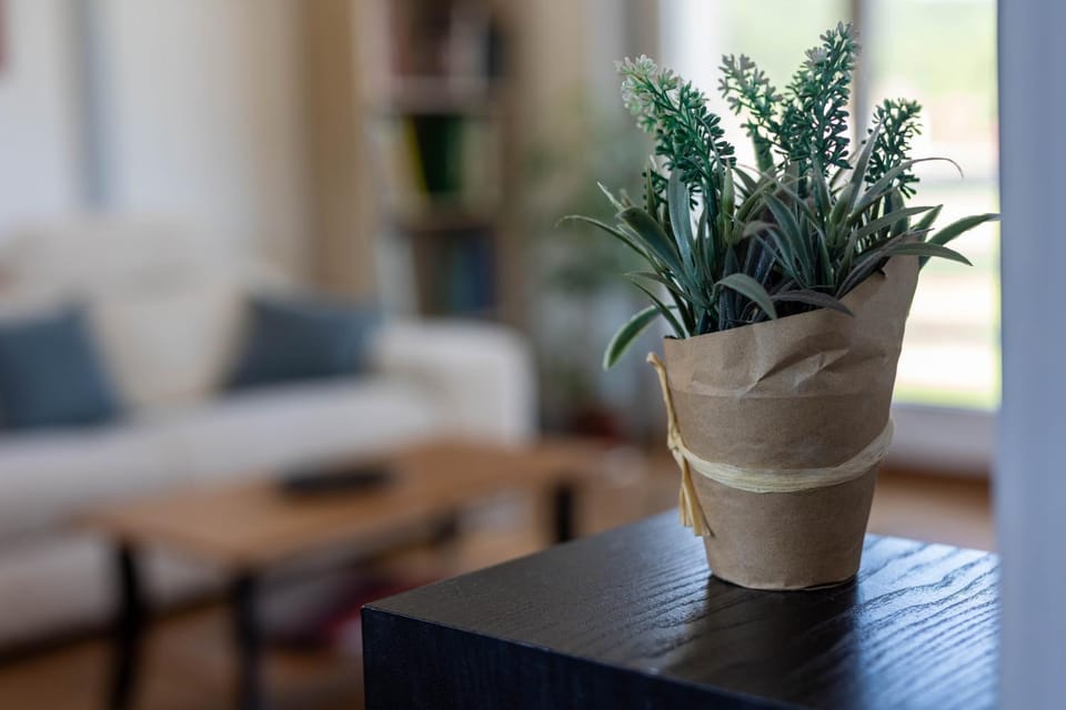 Living room, Decorative detail, Seating area