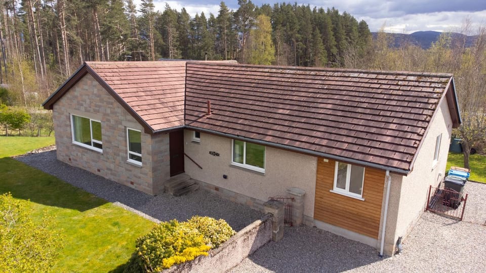 Patio, Garden, Garden view