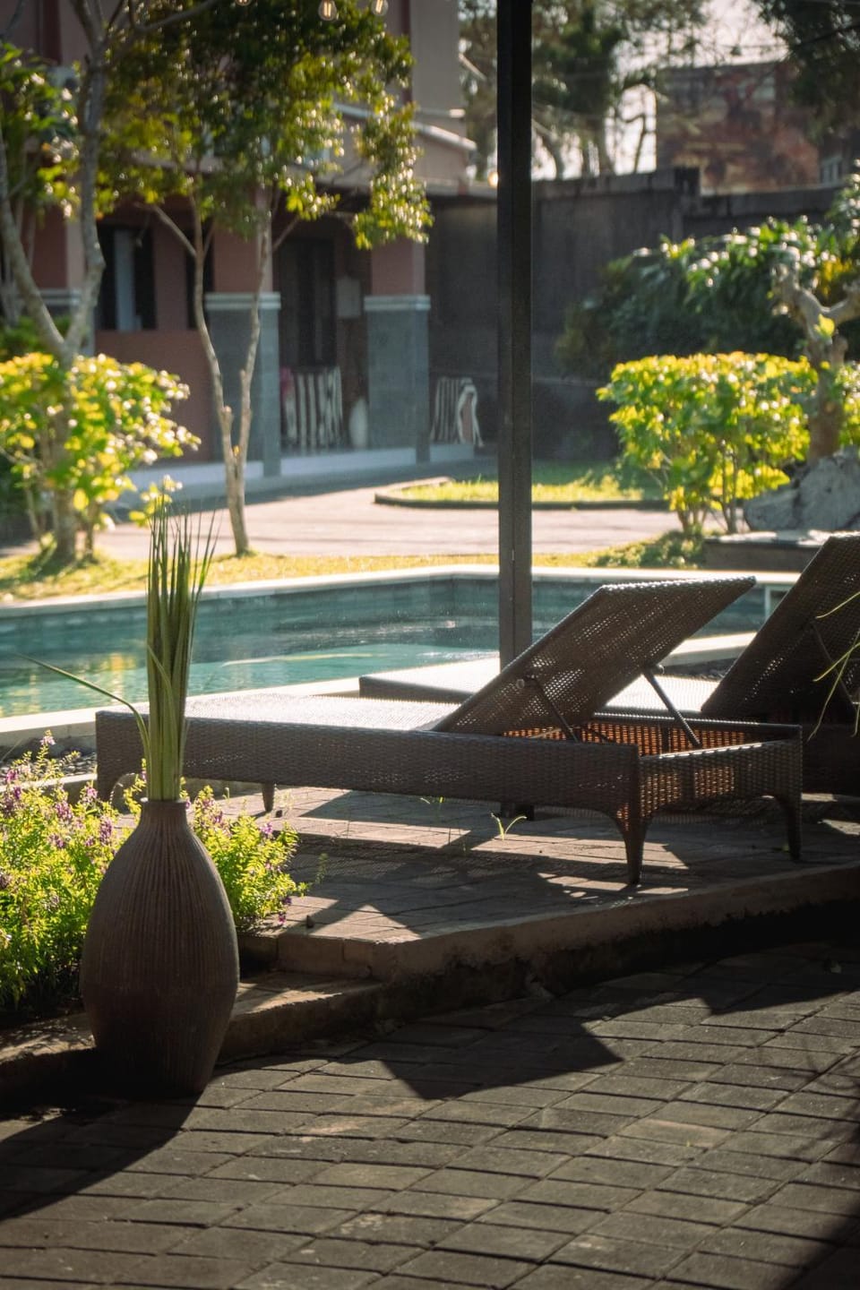 Garden, Pool view, Swimming pool, sunbed