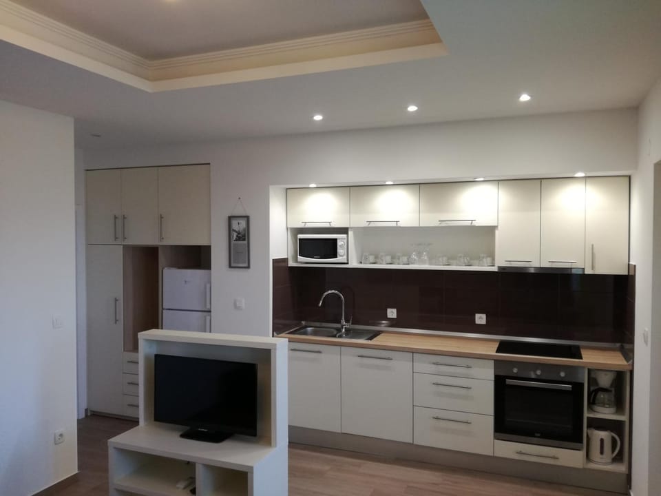 Kitchen or kitchenette, dishwasher, minibar, pet friendly