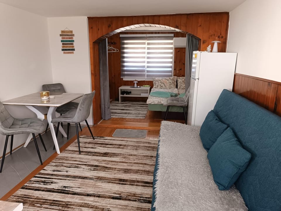 Studio 28 Apartment in Zlatibor District, Serbia