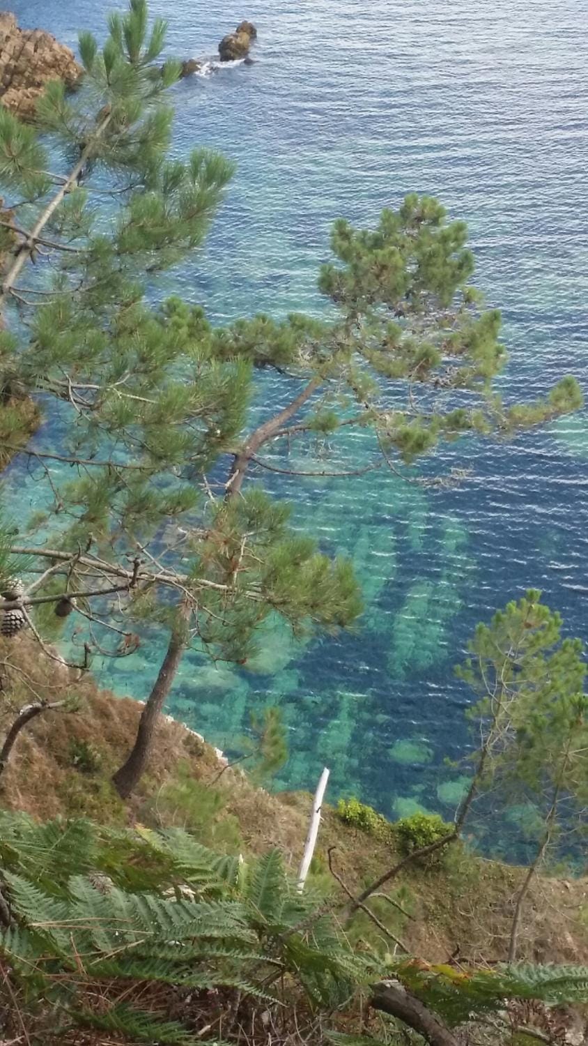 Nearby landmark, Natural landscape