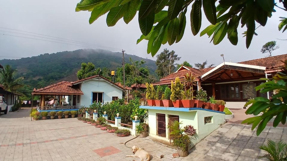 Property building, Day, Natural landscape, Garden, Garden view, Mountain view, Continental breakfast, Continental breakfast
