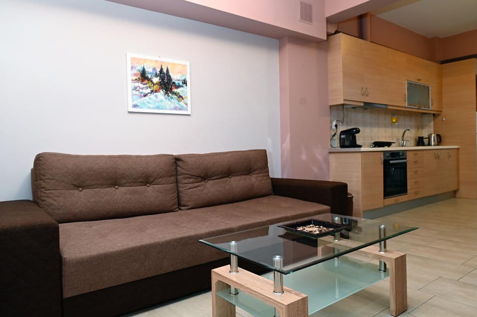 Kitchen or kitchenette, Living room, Seating area, Dining area, stove