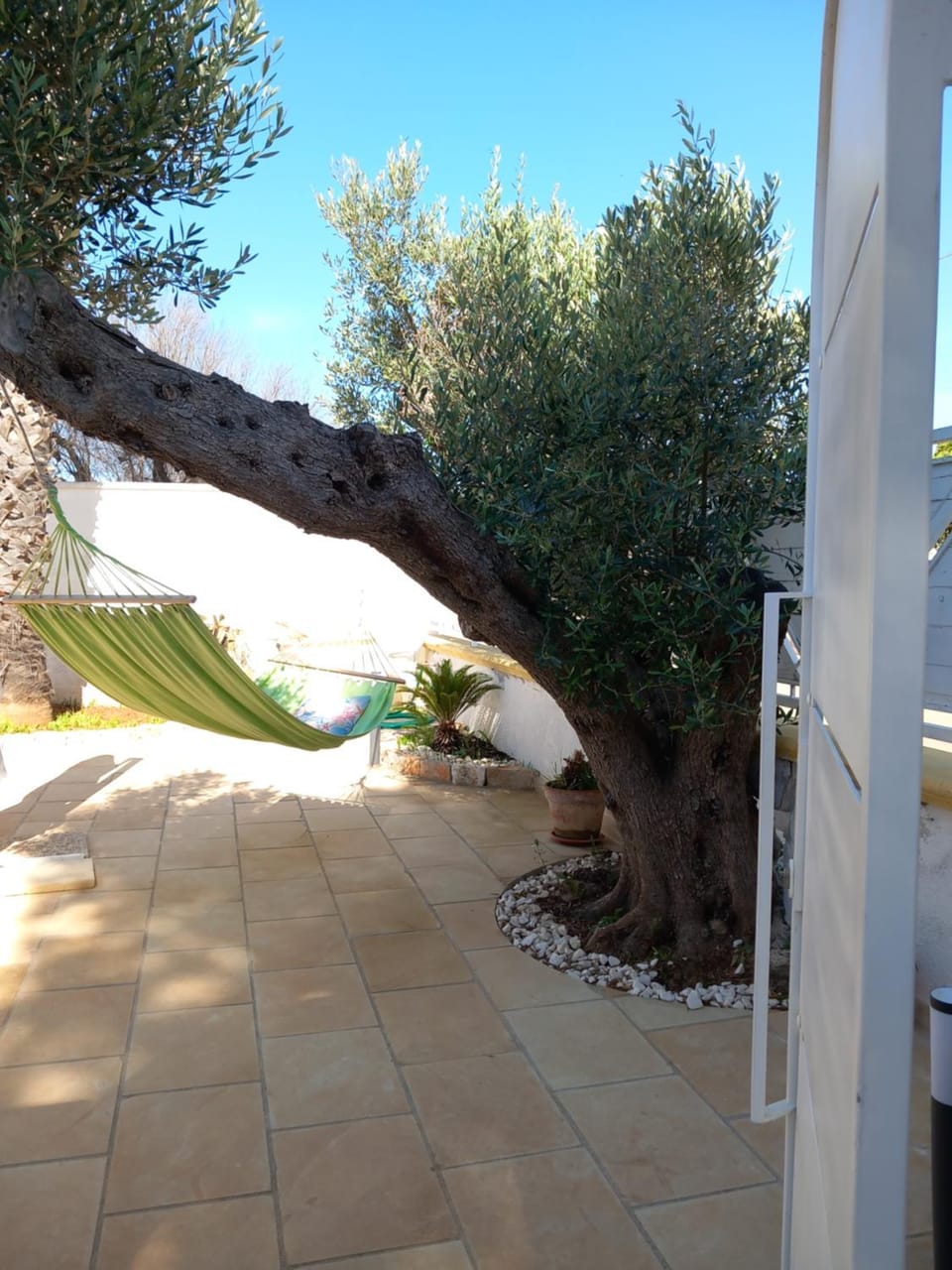 Alessandro House House in Porto Cesareo