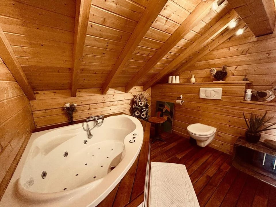 Chalet Le Meix-SaGe Chalet in Vosges