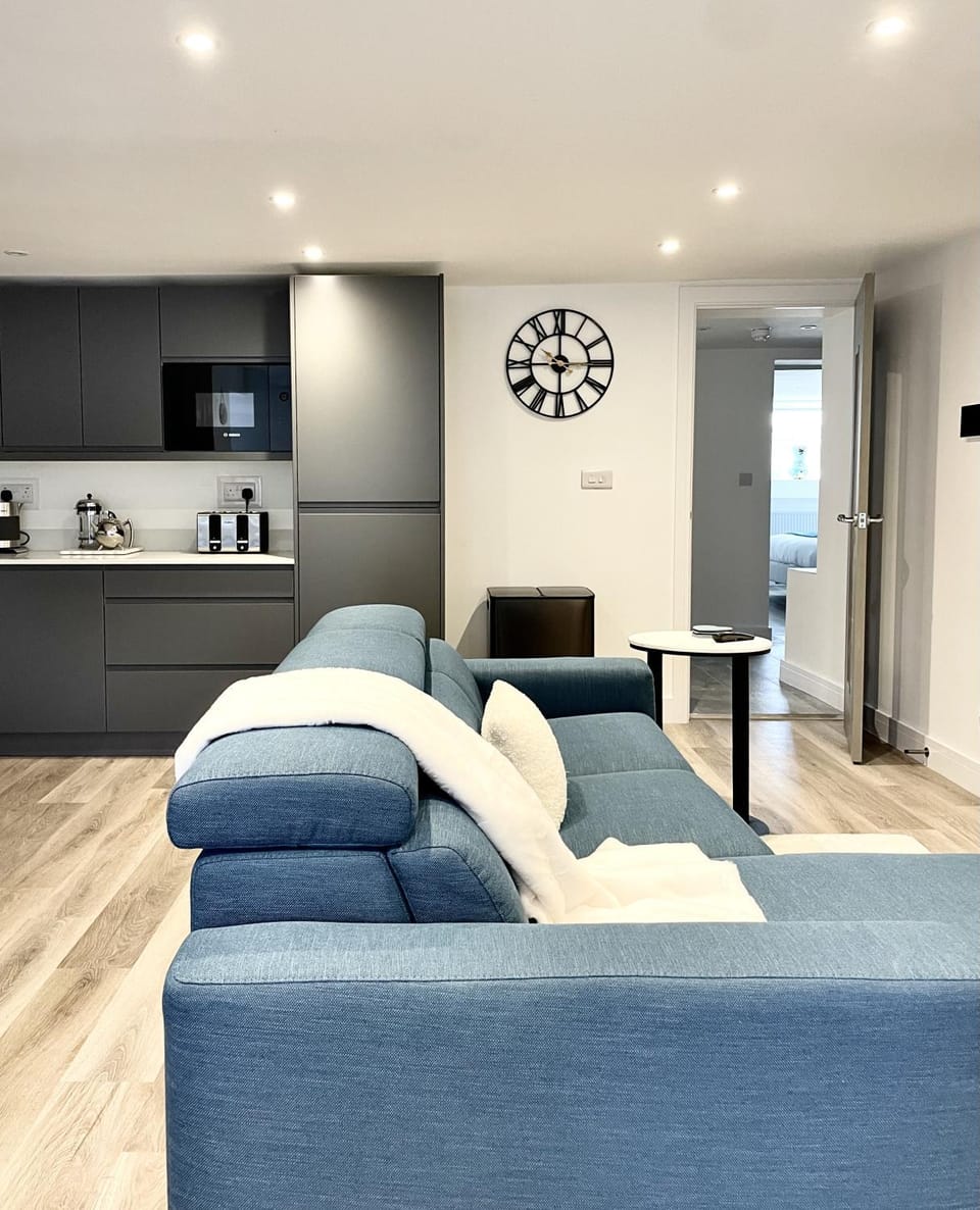 Redland Apartment - Two Bedroom with Private Patio Apartment in Bristol