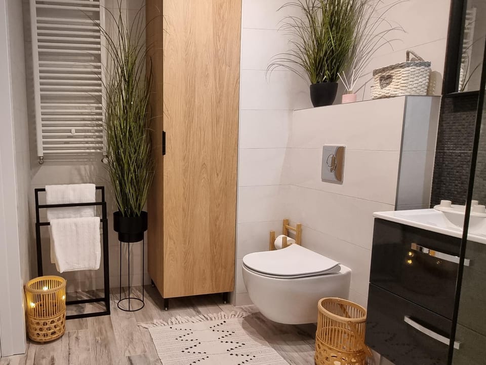Shower, Toilet, Bathroom, Kitchen or kitchenette, hair dryier, towels, wardrobe