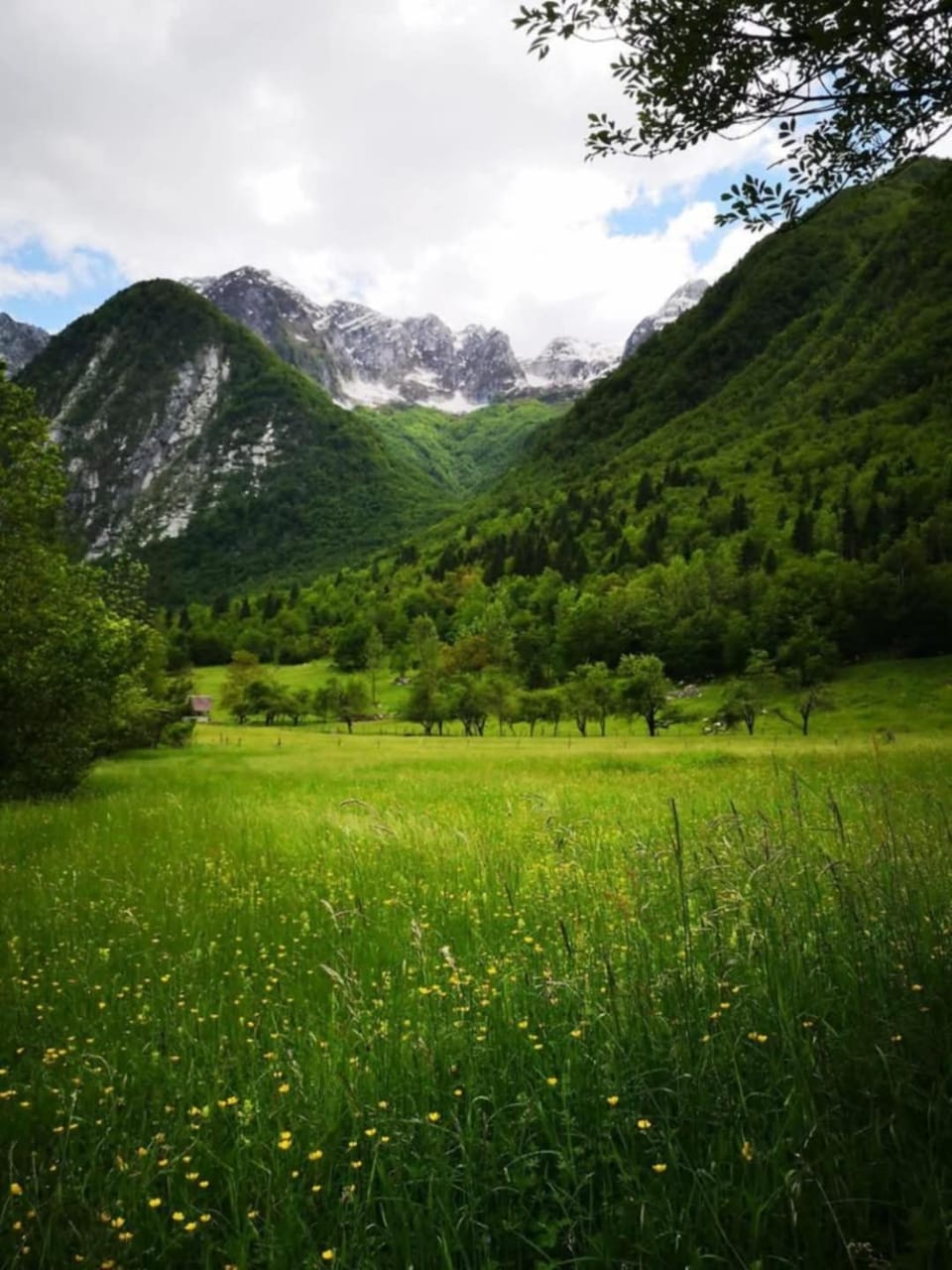 Mountain view