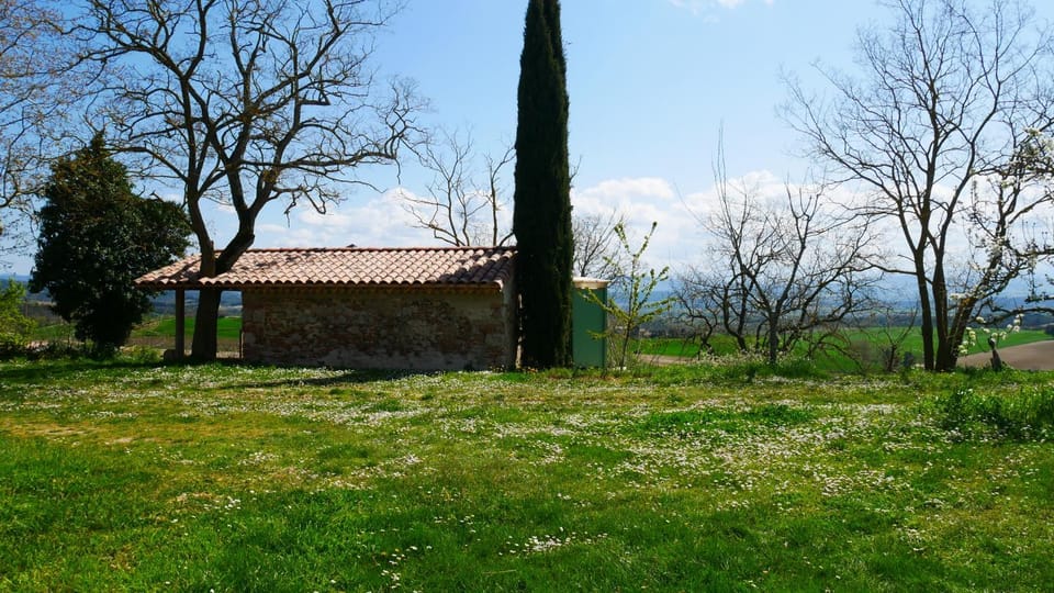Property building, Garden view